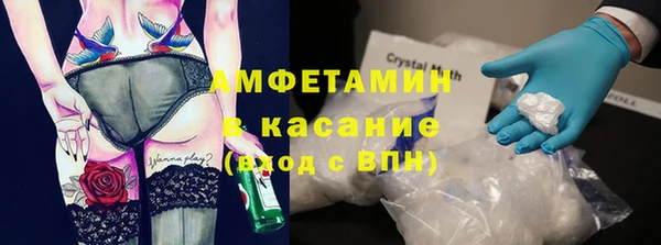 стаф Богданович